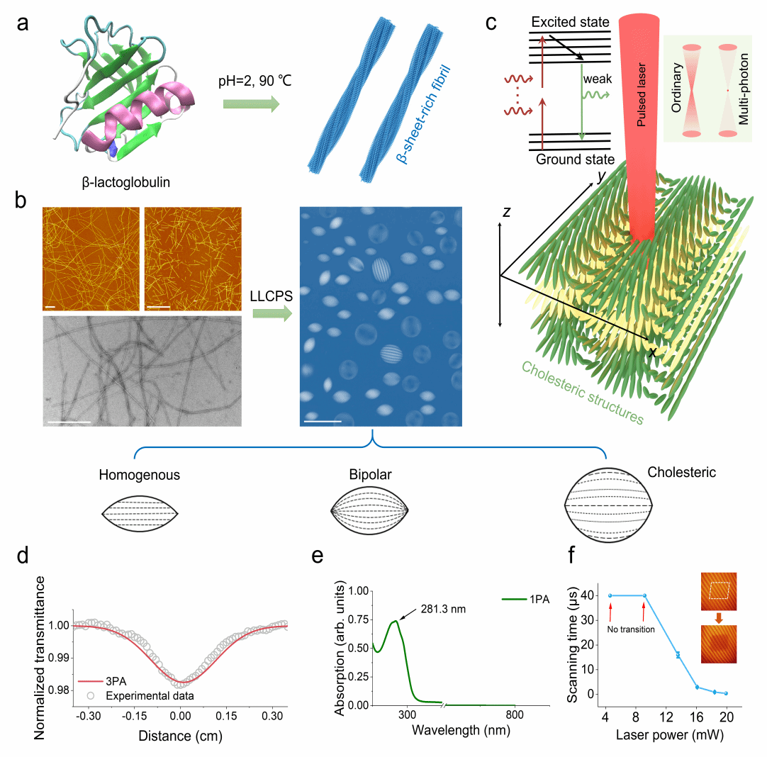 物理科学与技术学院林冬冬副教授在《Nature Communications》发表最新研究成果